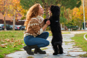 Cuidado Perro Estaciones
